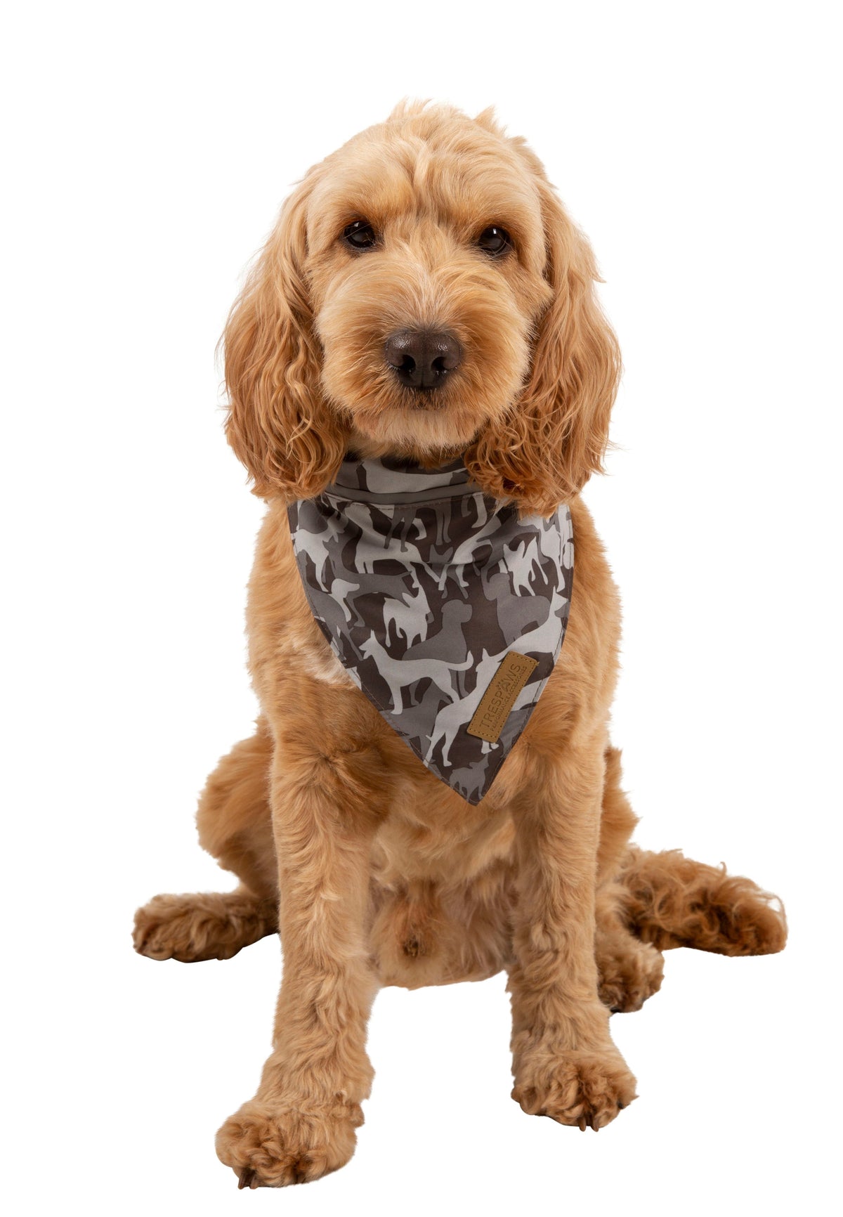 Alpha - Grey Dog Camo - Trespass