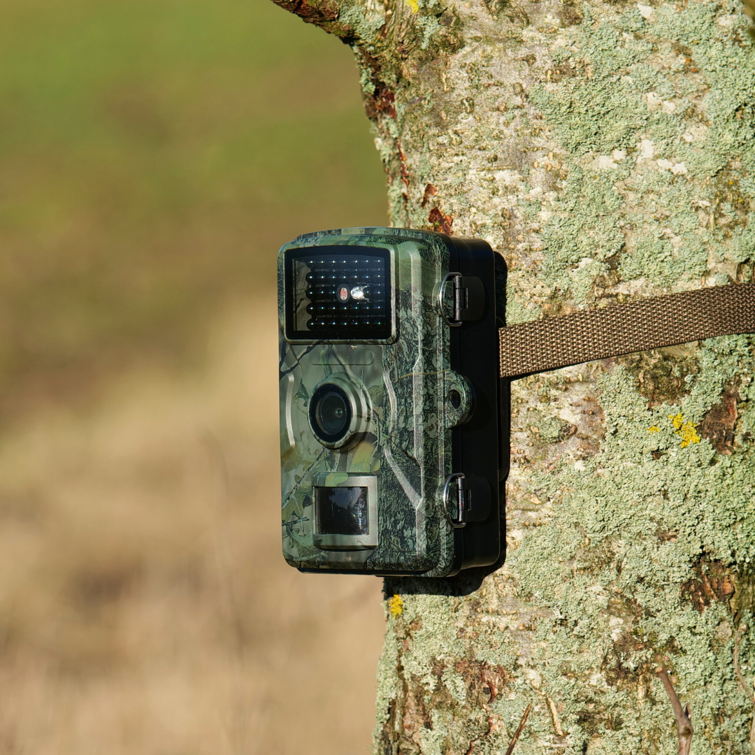 16MP Wildkamera