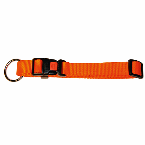 Verstellbares Halsband aus Nylon – 10mm 20–35cm – Kerbl
