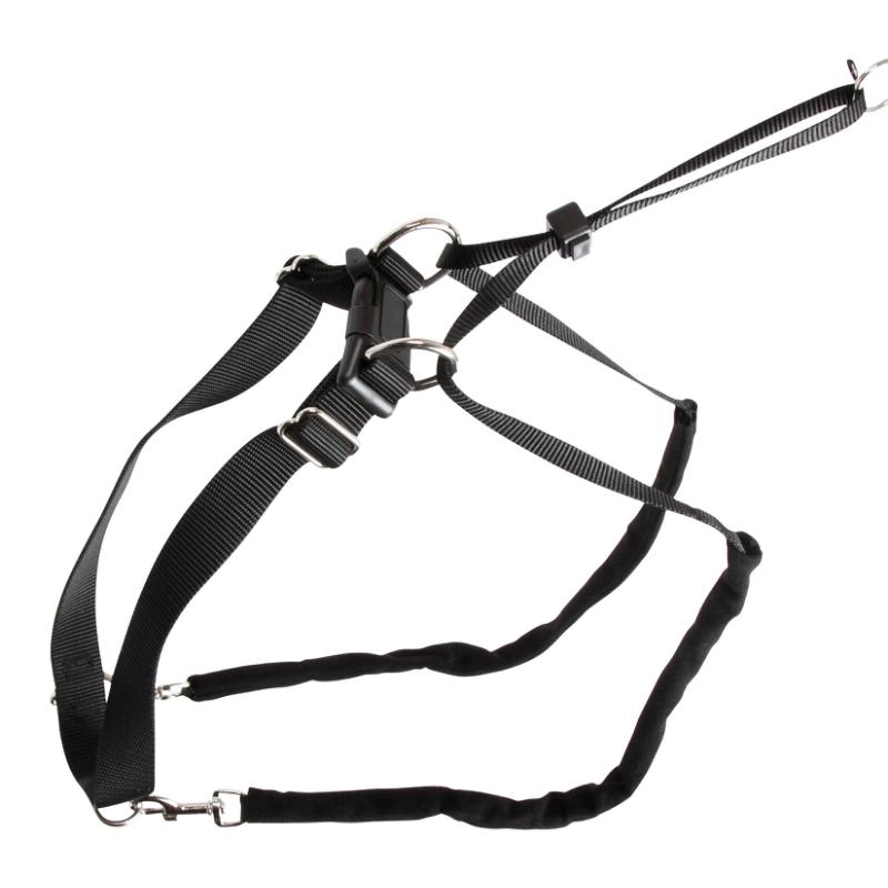 Hundegeschirr Maxi Leader – Hals 30-45 cm – Kerbl