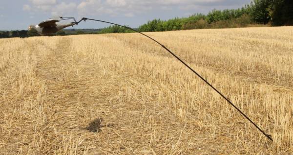 Tauben swupper