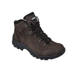 Artemis Mid GTX - Treksta