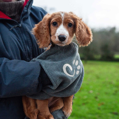Schlammiges Hundetuch – Mountain Paws