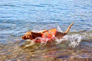 Life Jacket XXL