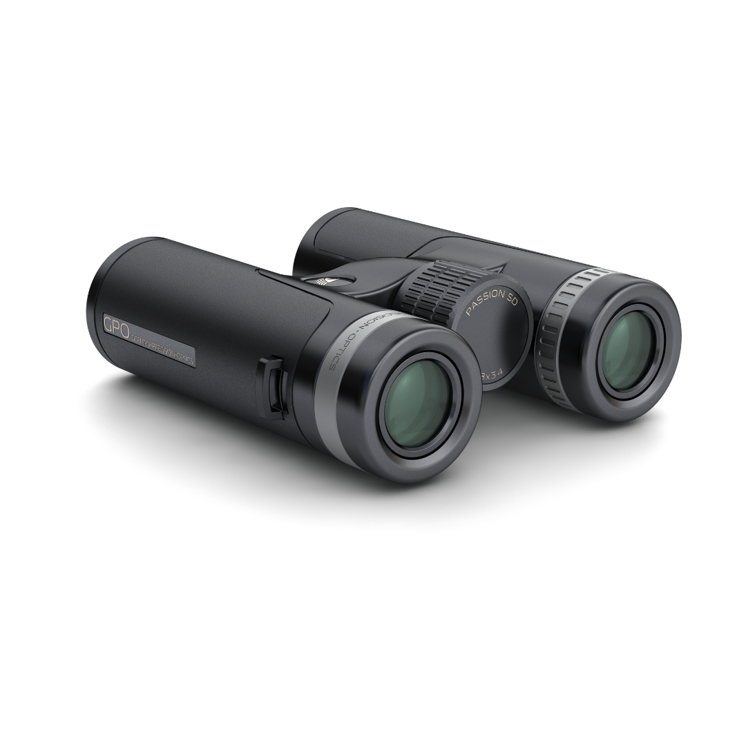 PASSION SD - 10x34 - GPO