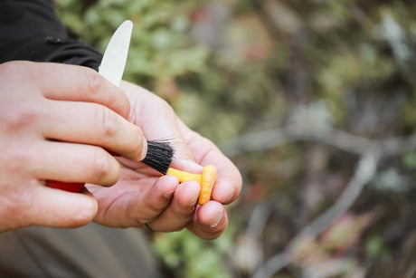 Karl-Johan Pilzmesser (S) Rot – Morakniv