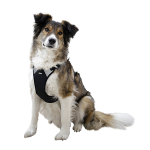 Hundegeschirr Pulsive – Hals 50–62 cm – Brust 56–74 cm – Kerbl