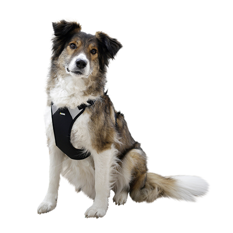 Hundegeschirr Pulsive – Hals 62–85 cm – Brust 72–96 cm – Kerbl