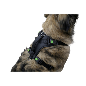 Hundegeschirr Pulsive – Hals 36–50 – Brust 46–60 cm – Kerbl