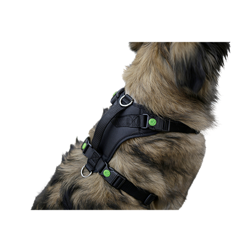 Hundegeschirr Pulsive – Hals 50–62 cm – Brust 56–74 cm – Kerbl