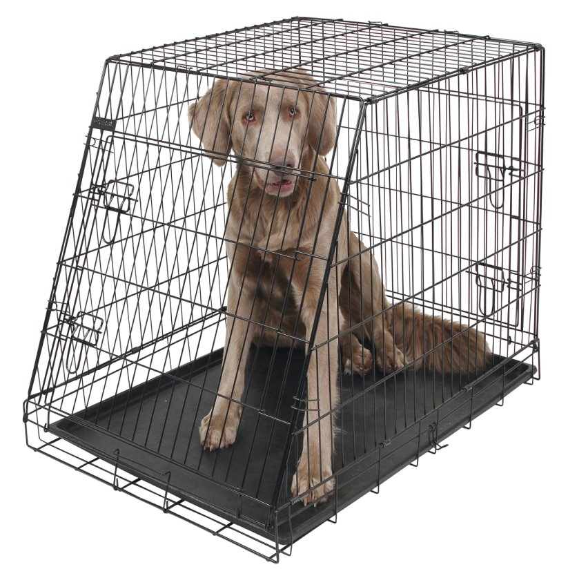Hundebox aus Stahl, klappbar, abgeschrägt – 92x63x74 cm – Kerbl