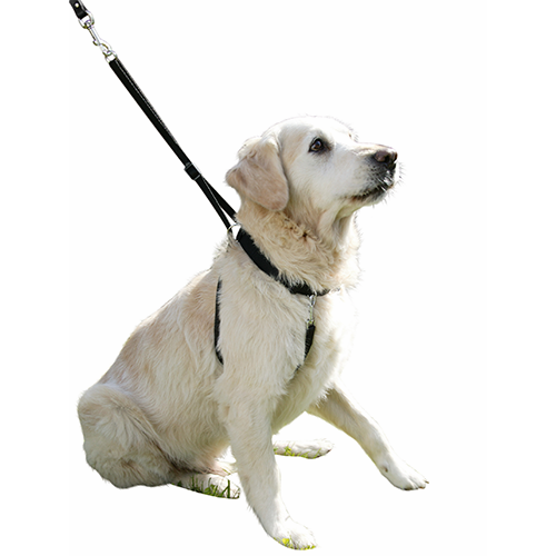 Hundegeschirr Maxi Leader - Hals 25-30 cm – Kerbl