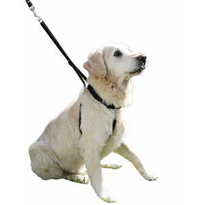 Hundegeschirr Maxi Leader – Hals 30-45 cm – Kerbl