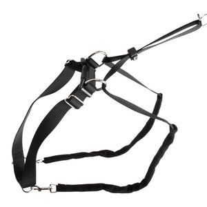 Hundegeschirr Maxi Leader – Hals 30-45 cm – Kerbl
