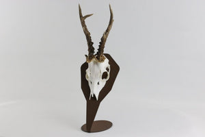Torp Solution płyta na trofeum kozła, model stojący - Diamond / Corten