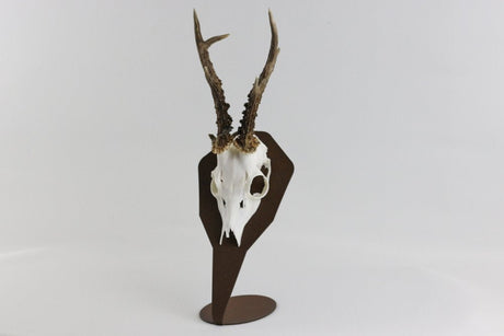 Torp Solution płyta na trofeum kozła, model stojący - Diamond / Corten